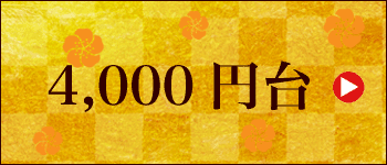 ̓Mtg Ȃ 4,000~