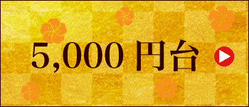 ̓Mtg Ȃ 5,000~