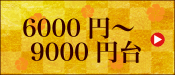 ̓Mtg Ȃ 6,000~