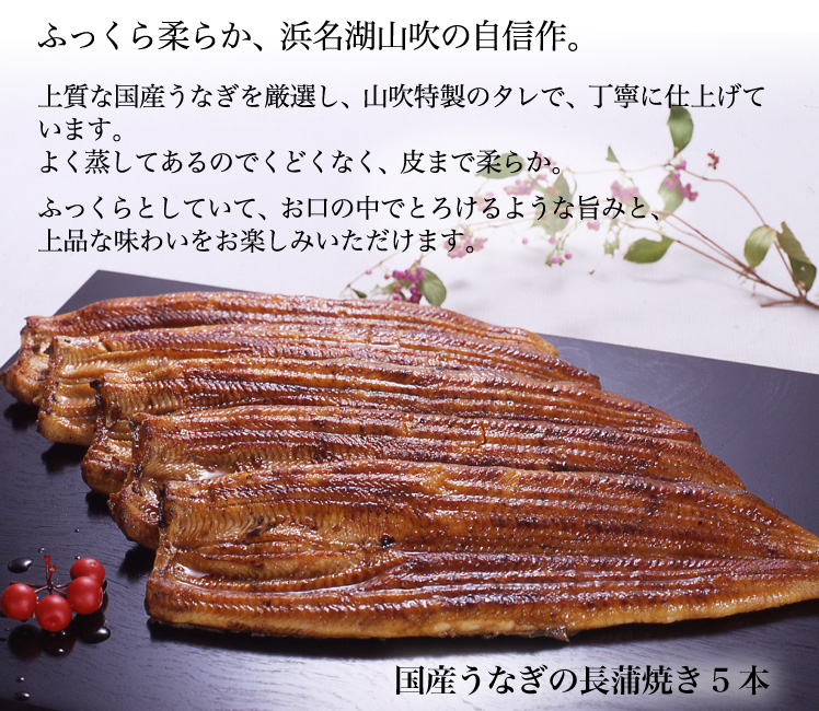 佃煮　残暑お見舞いギフト　うなぎ長蒲焼き5本・きも吸い詰合せ　│　残暑見舞い　白焼　残暑お見舞いギフト　【浜名湖山吹】国産　鰻　蒲焼　│　うなぎ　浜名湖山吹