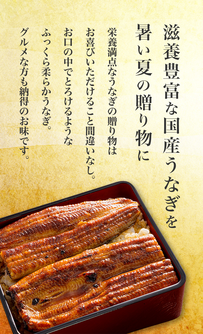 暑中見舞い 残暑見舞い うなぎ 鰻 蒲焼 白焼 佃煮 浜名湖山吹